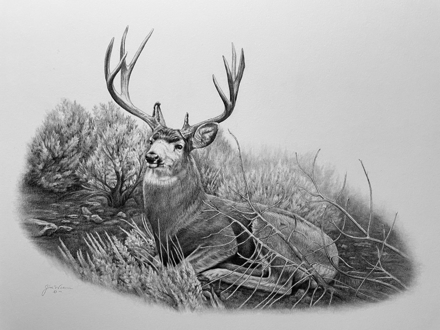 "Tucked In" ORIGINAL