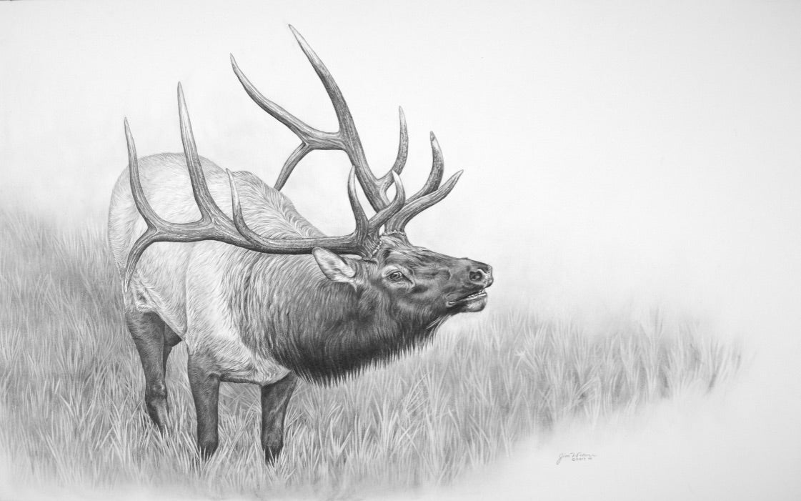 Digital Download