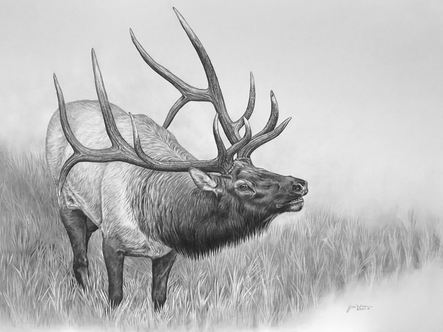 “Royal Announcement” PRINTS