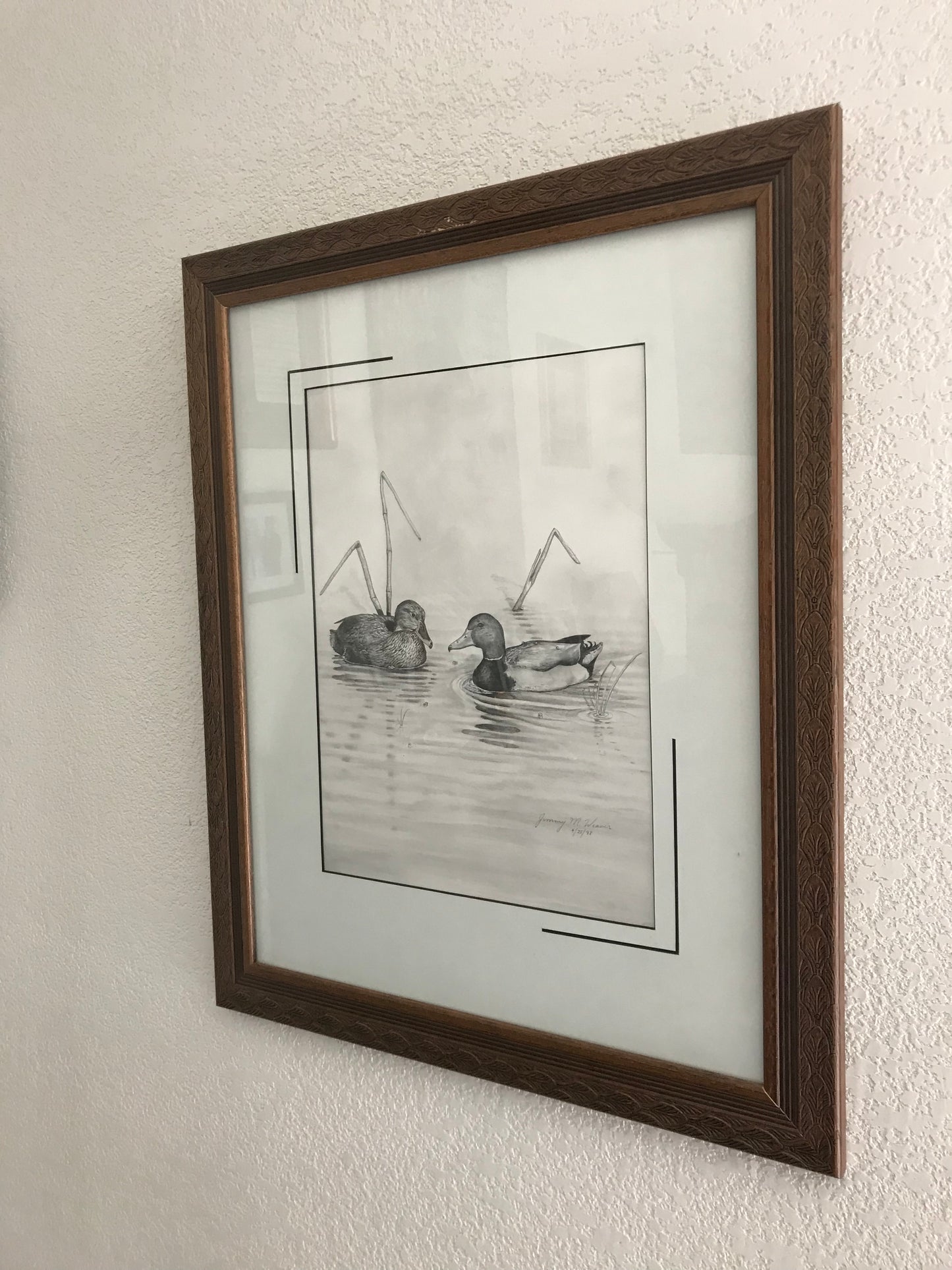 Mallard Pair