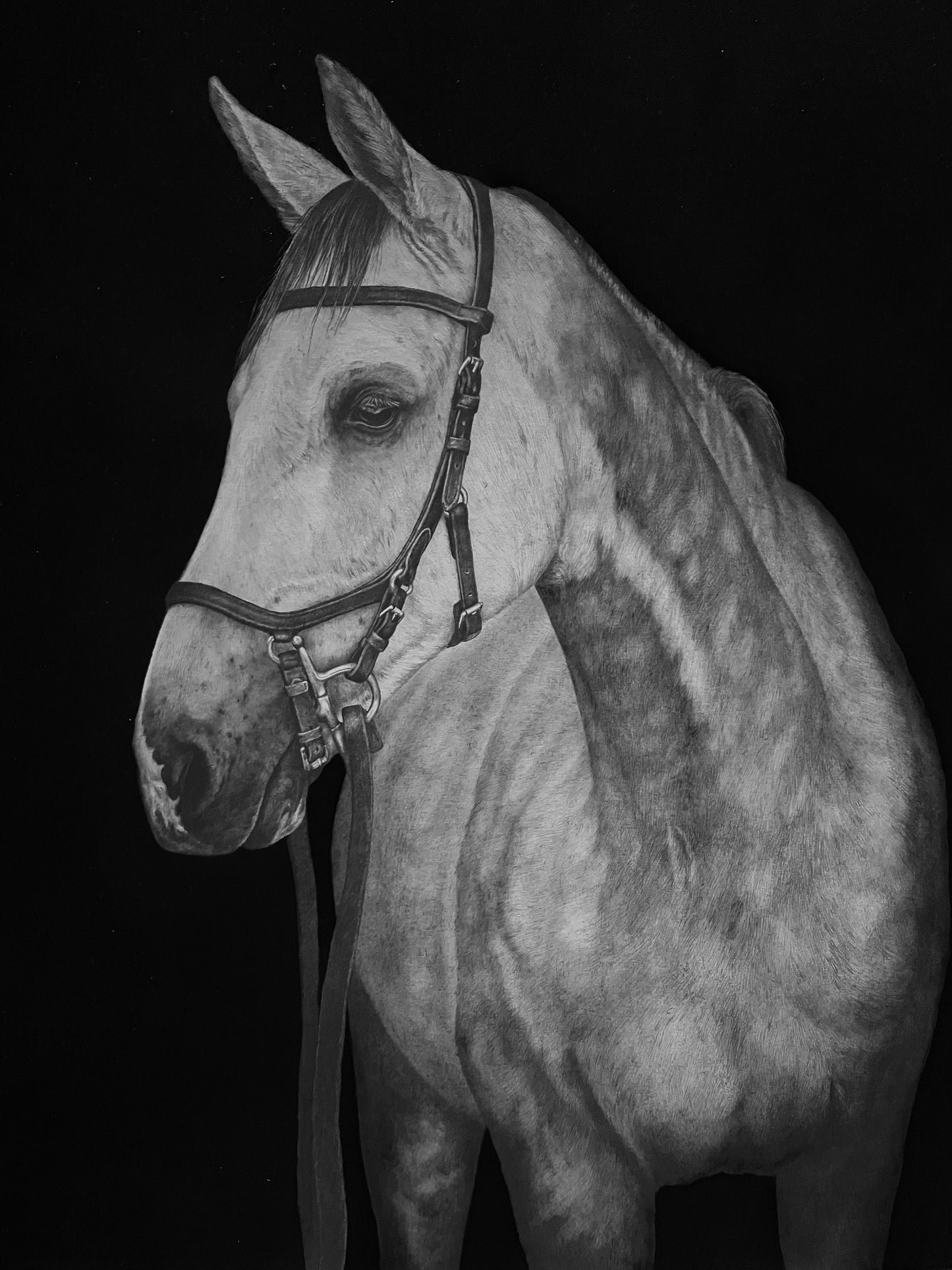 “Free Rein” PRINTS