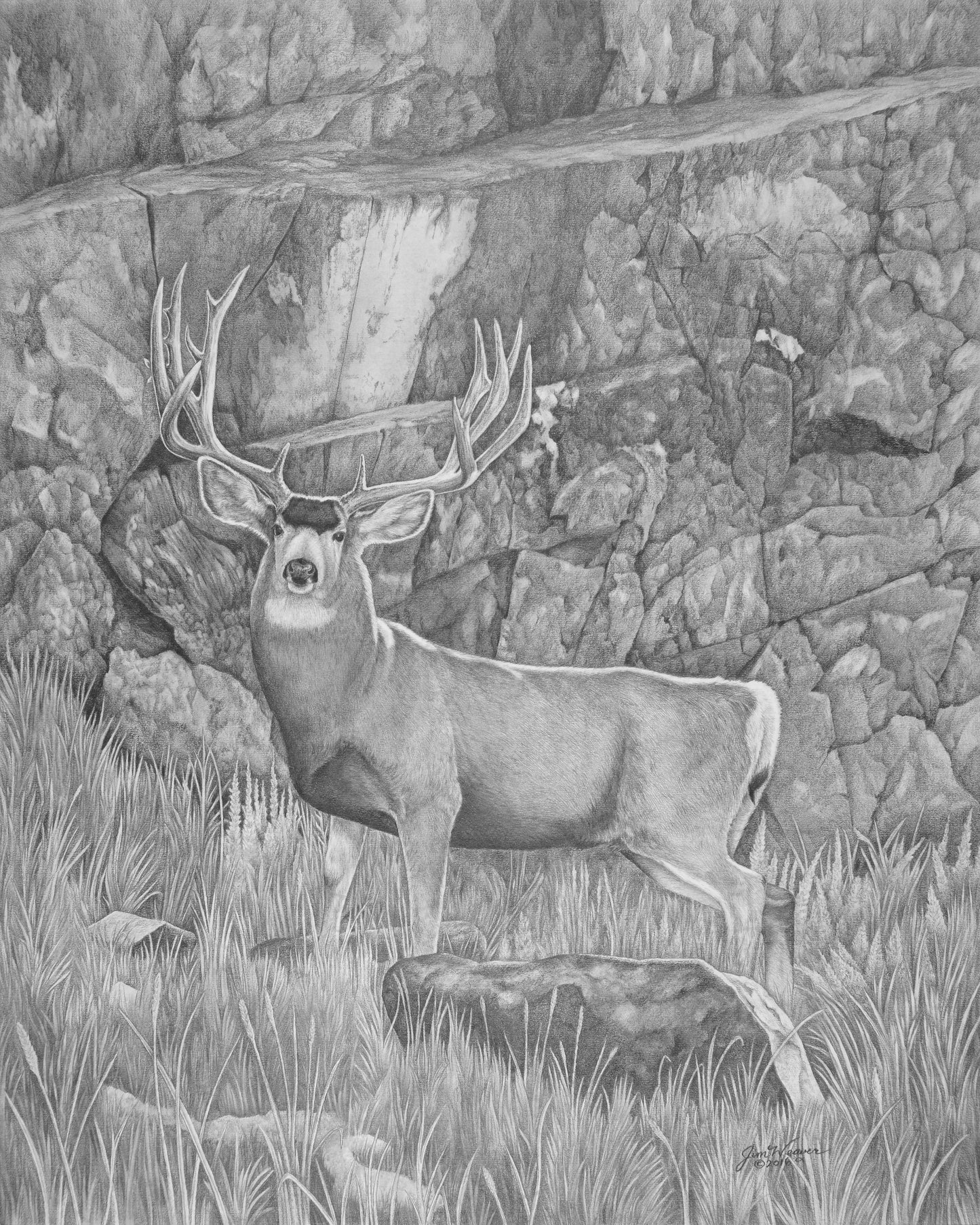 Digital Download