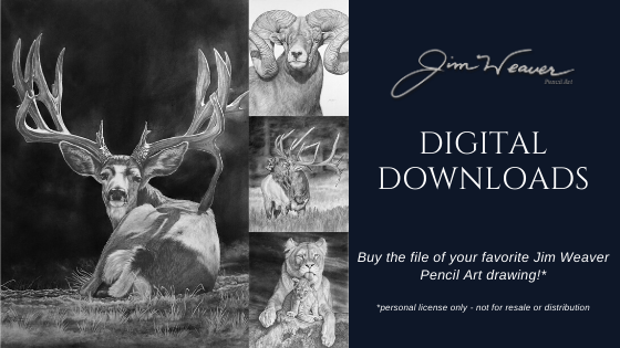 Digital Download