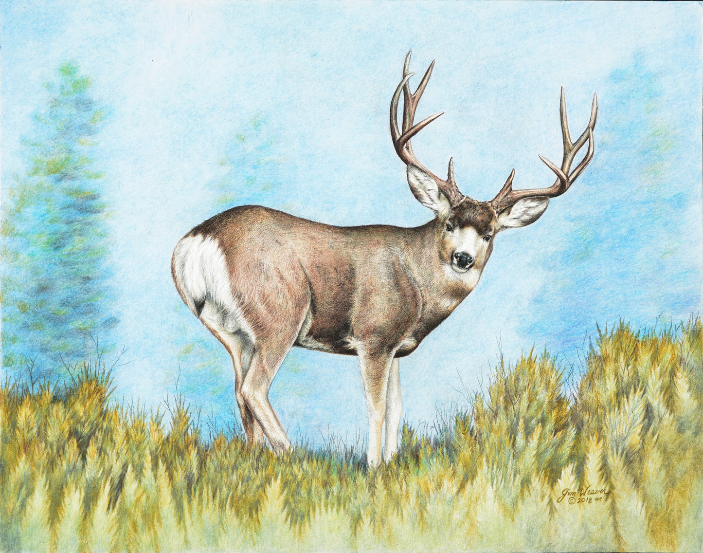 “One Last Look” PRINTS