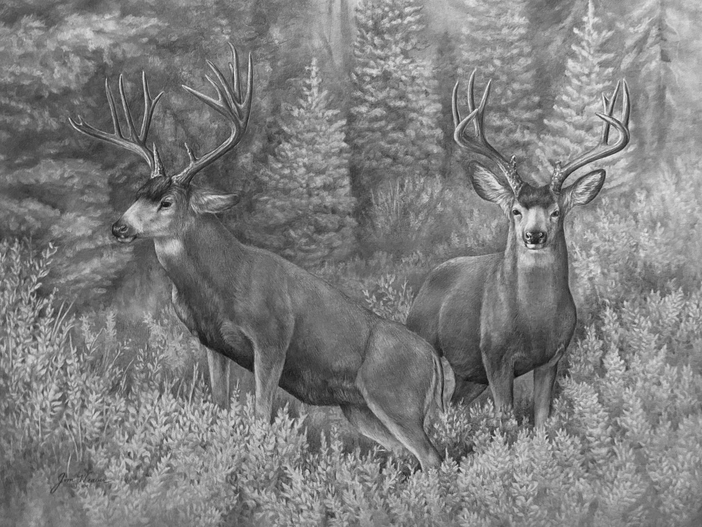 "Cascade Dream" The Hand Bucks