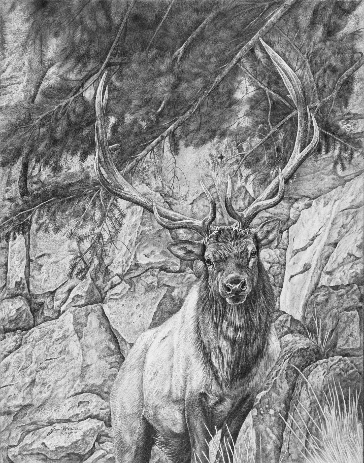 “On the Edge” PRINTS