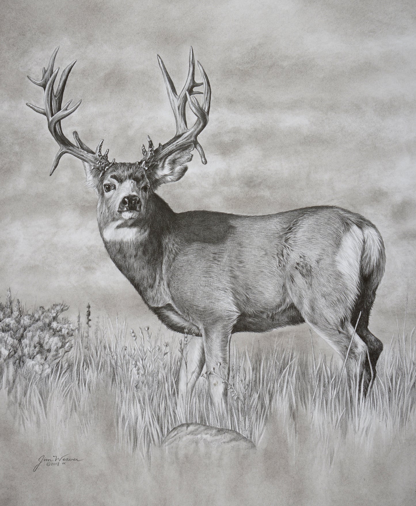 “The Maverick” PRINTS