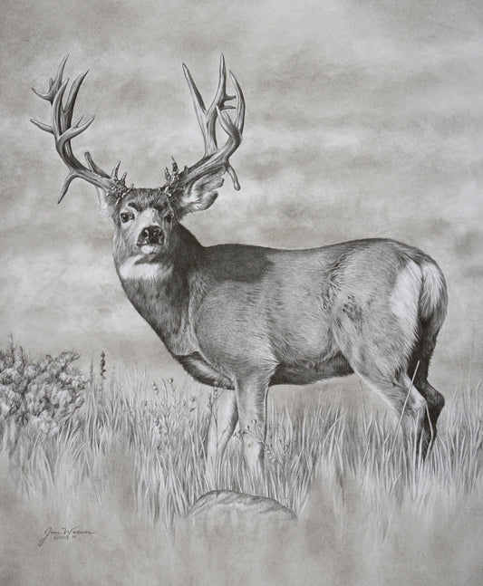 “The Maverick” PRINTS