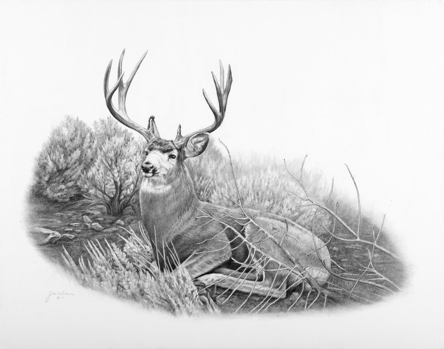 "Tucked In" PRINTS