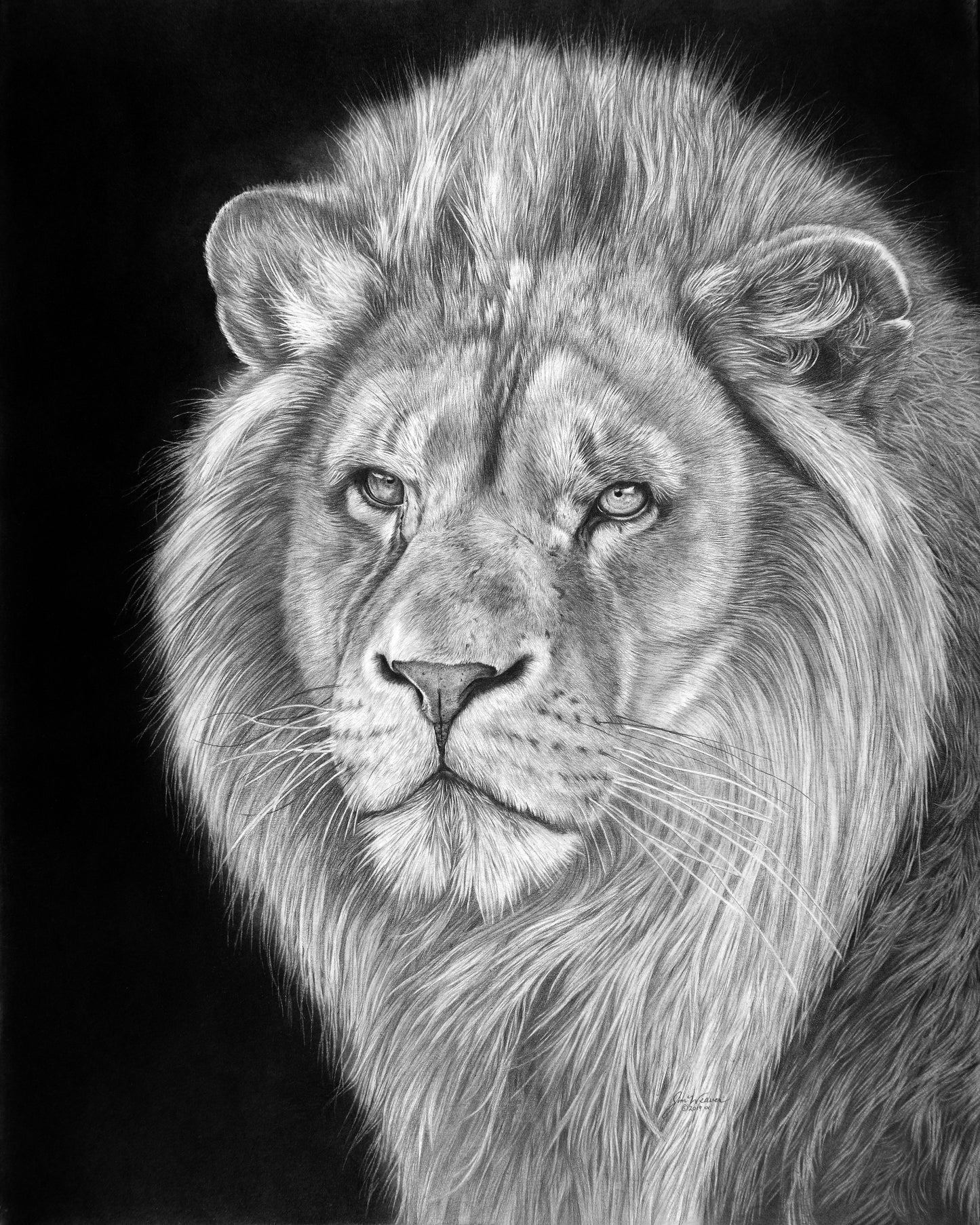 Digital Download