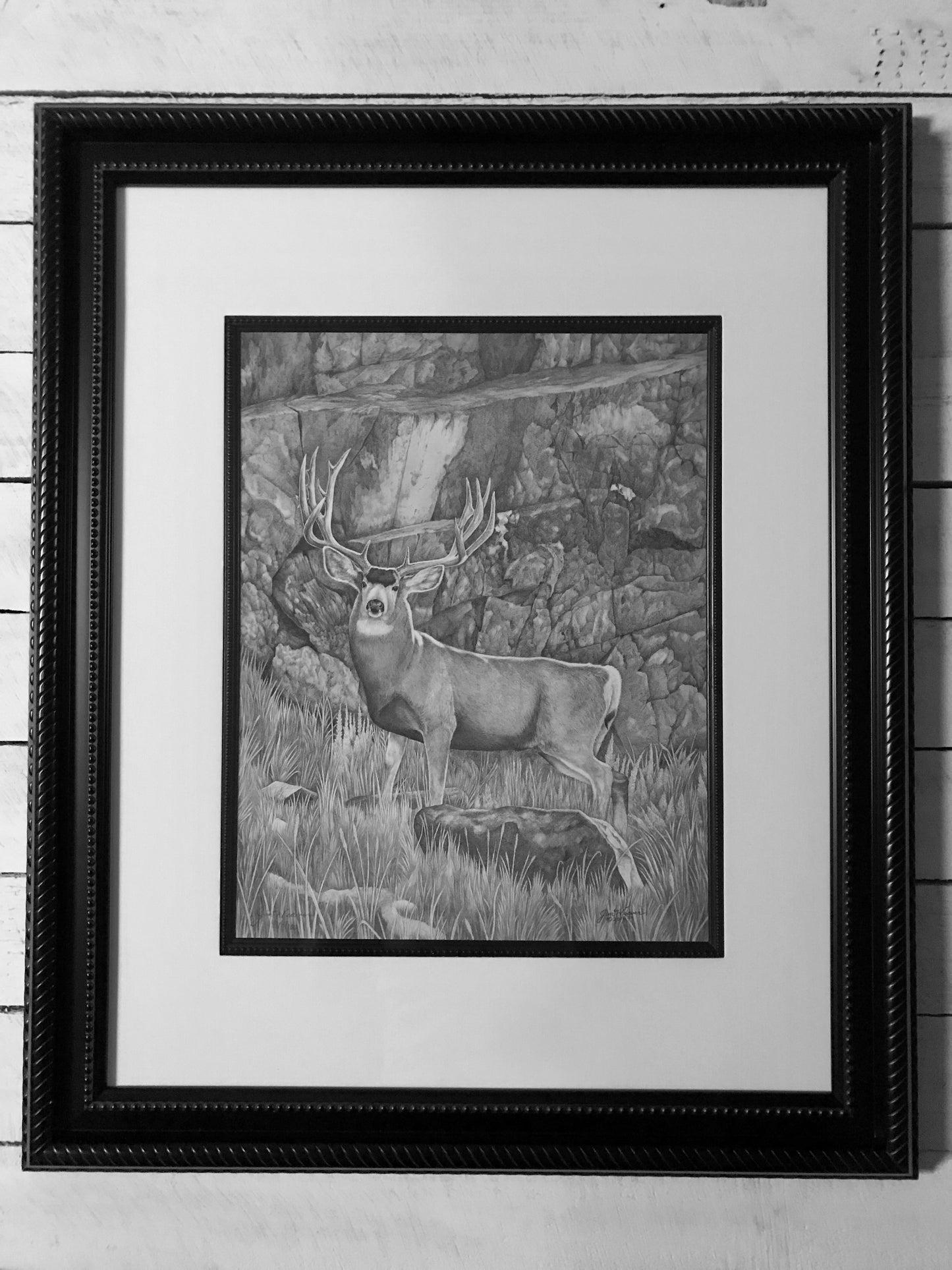 ”Caught” PRINTS