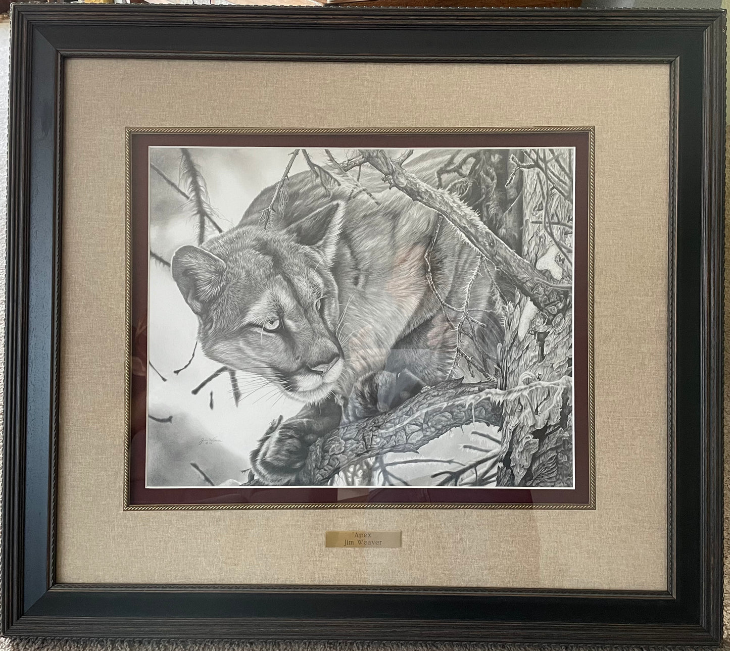 "Apex" ORIGINAL