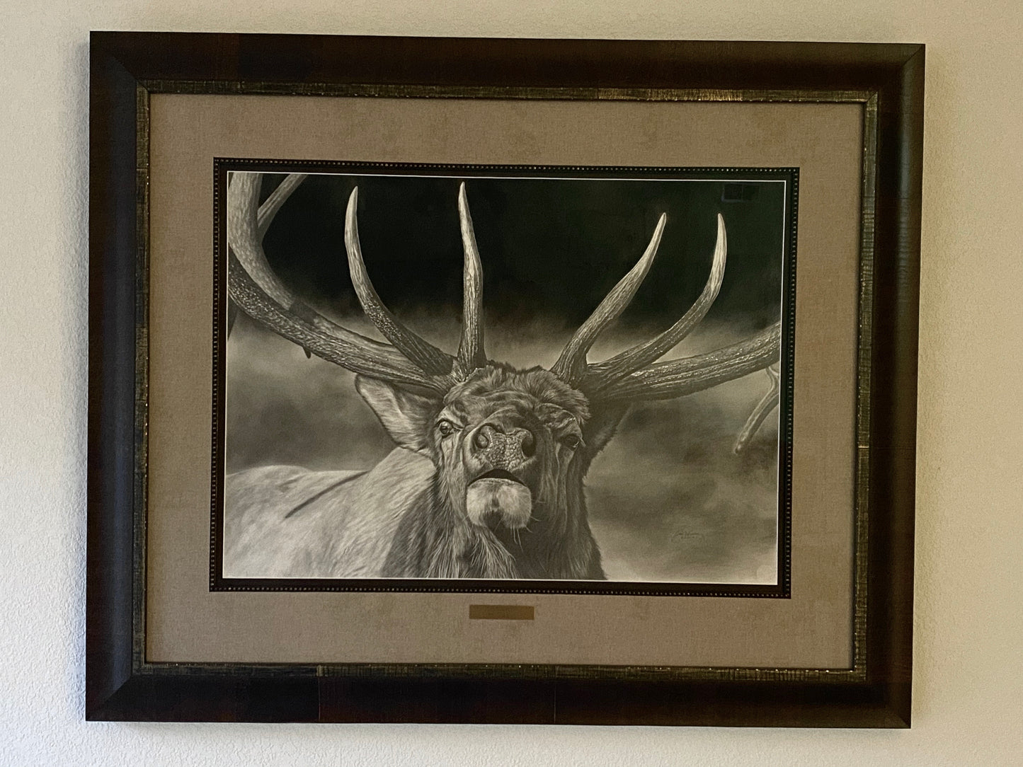 "Monarch" ORIGINAL
