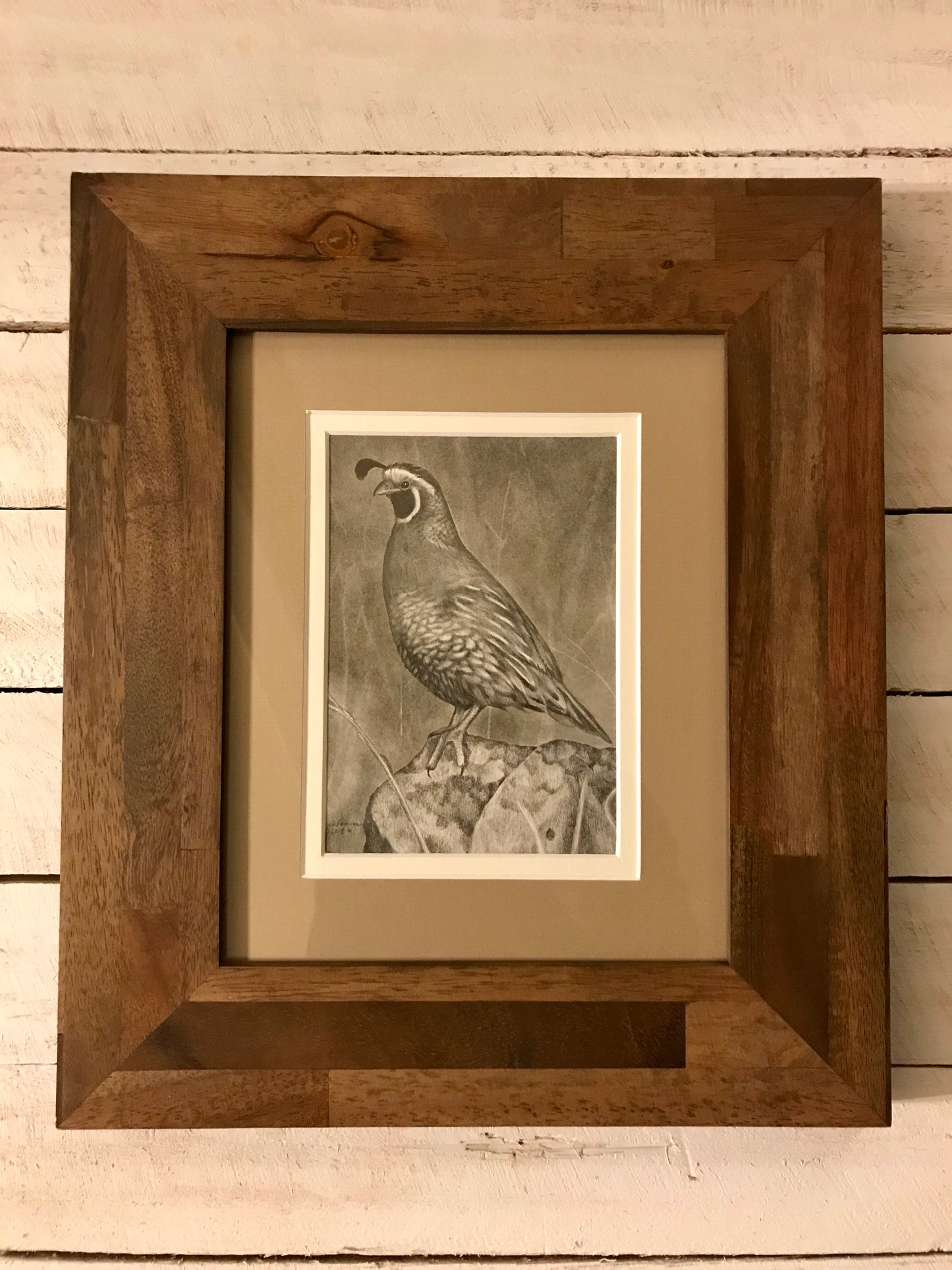 California Quail Study