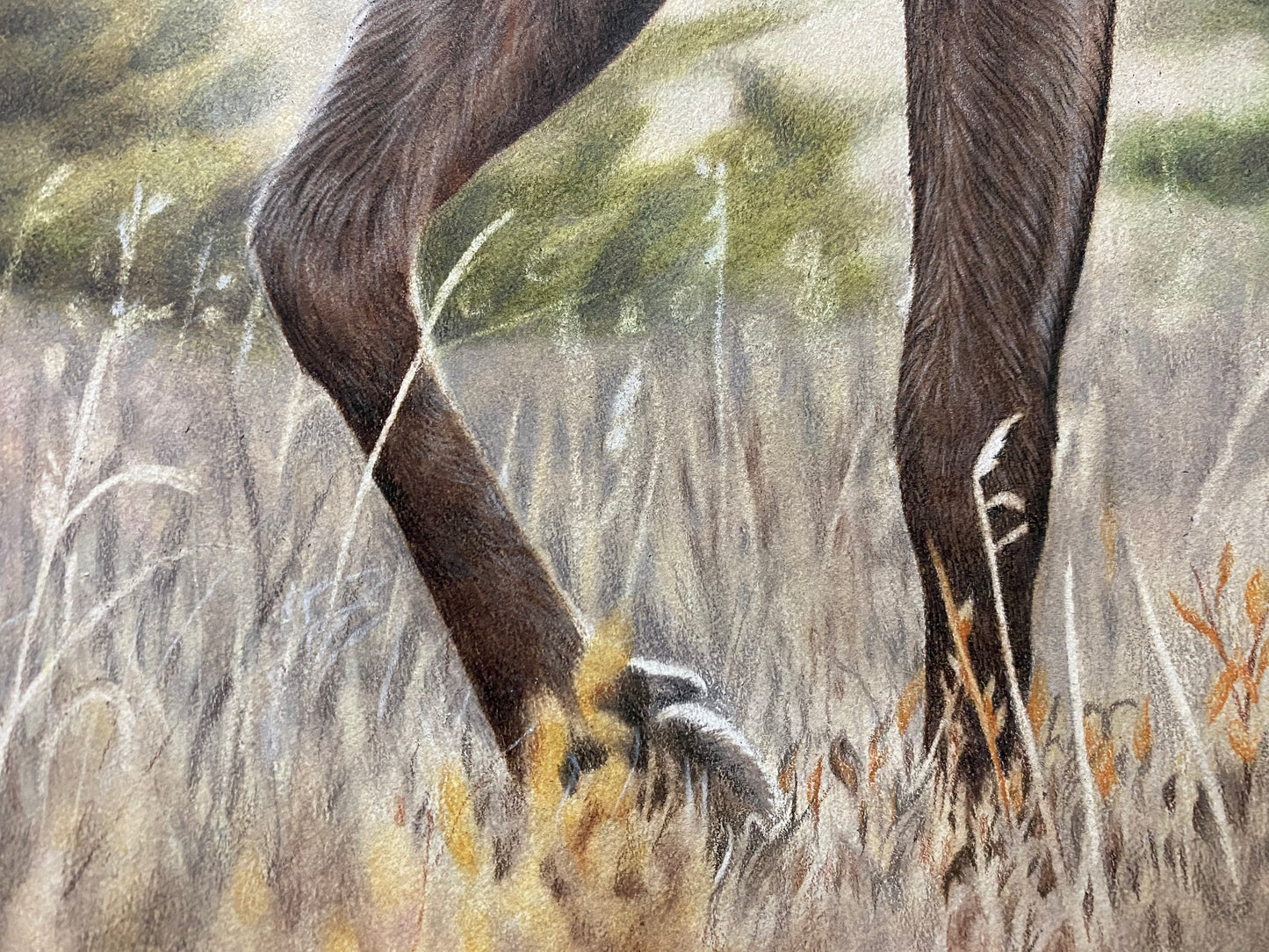 “Royal Domain” PRINTS