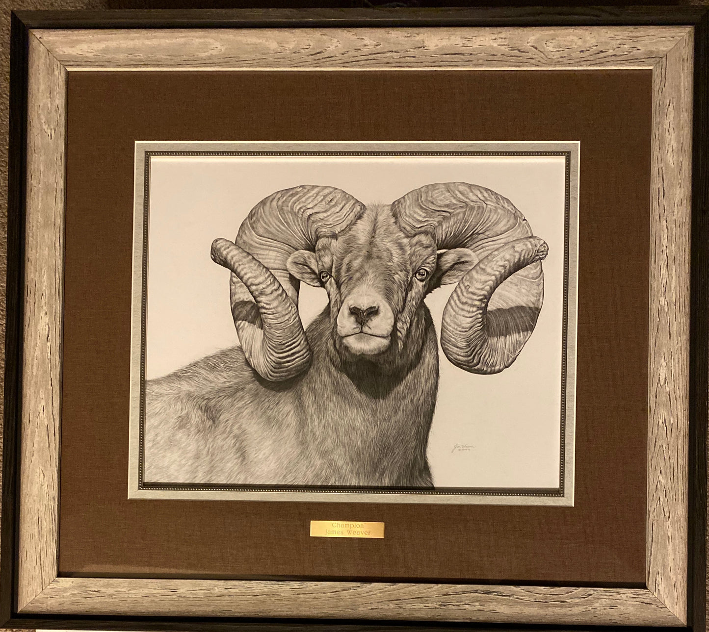 “Champion” ORIGINAL