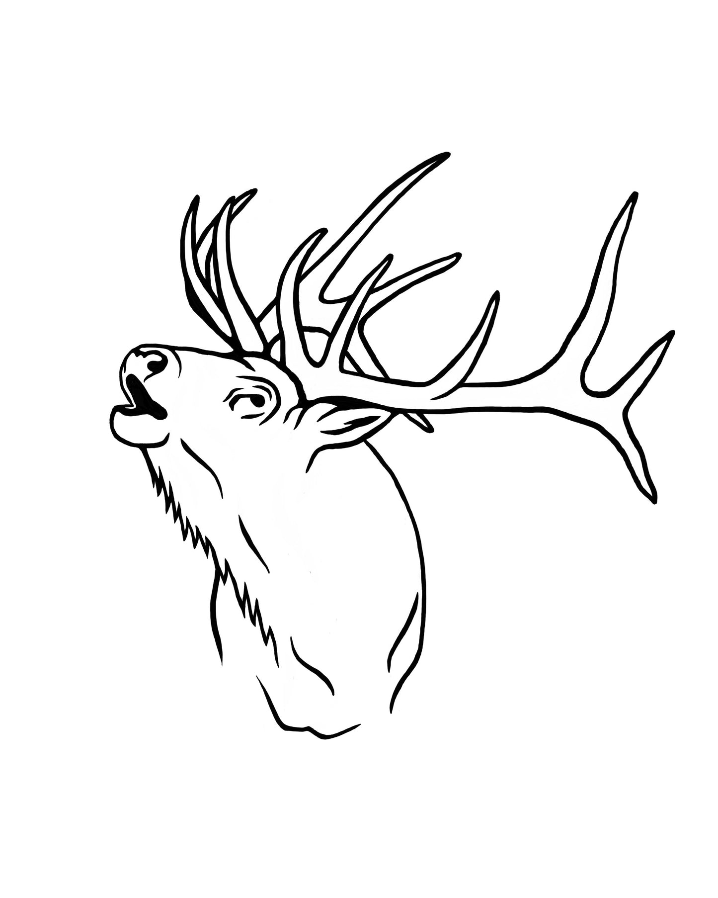Rogers Elk Logo