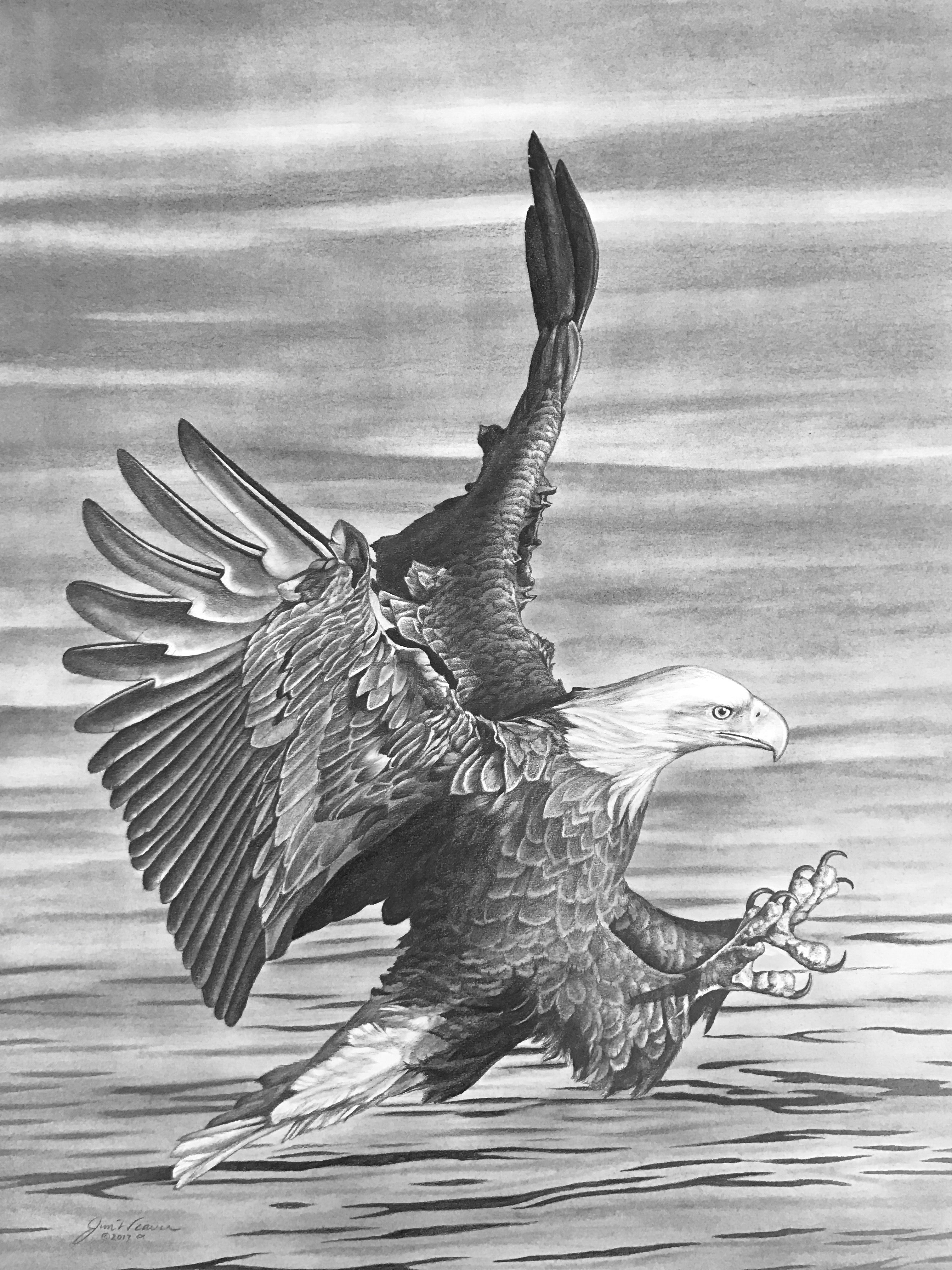 Drawing Of A Eagle How To Sketch An Eagle In Pencil, Draw An Eagle ... |  Bleistiftzeichnung bilder, Adler zeichnung, Coole bleistiftzeichnungen
