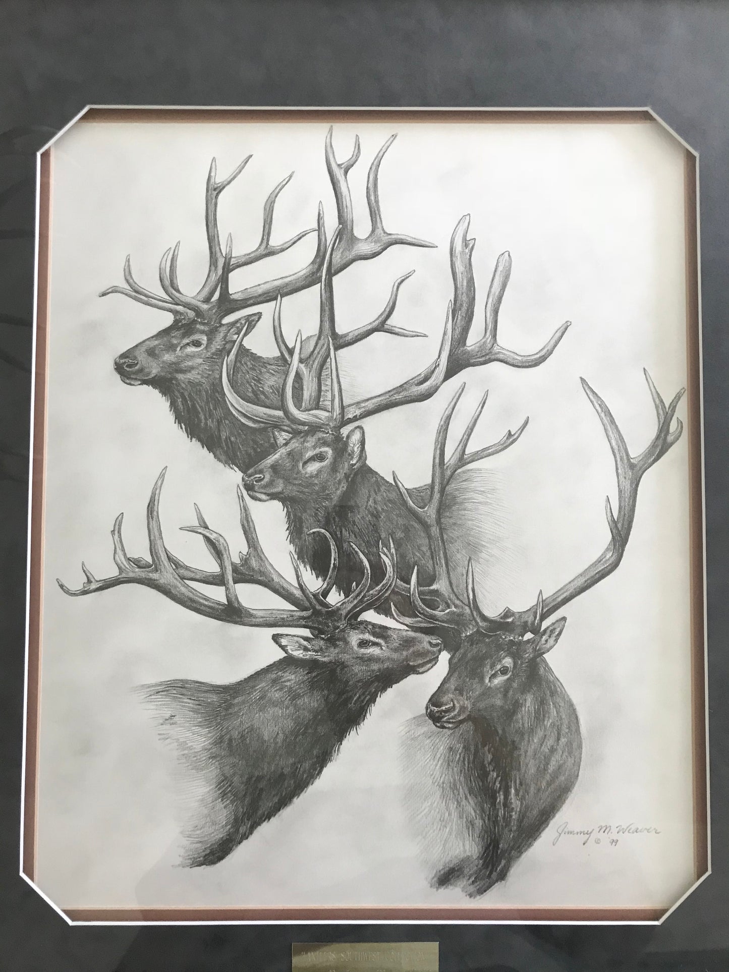 Antlers Southwest Collection
