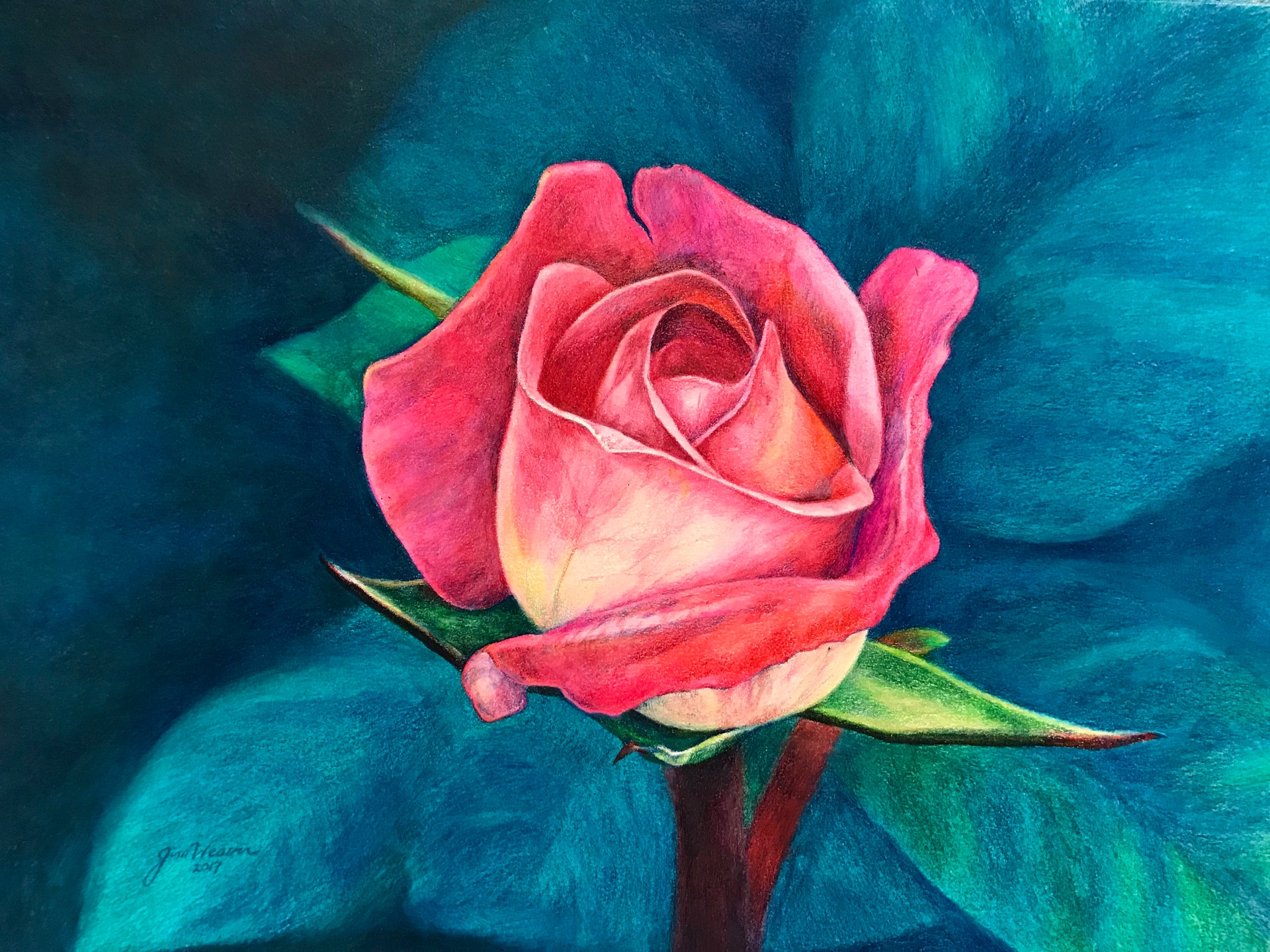 Colored Pencil Rose – Jim Weaver Pencil Art