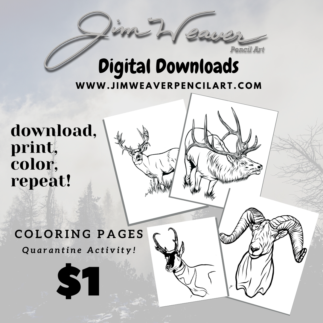 Coloring Page Digital Downloads