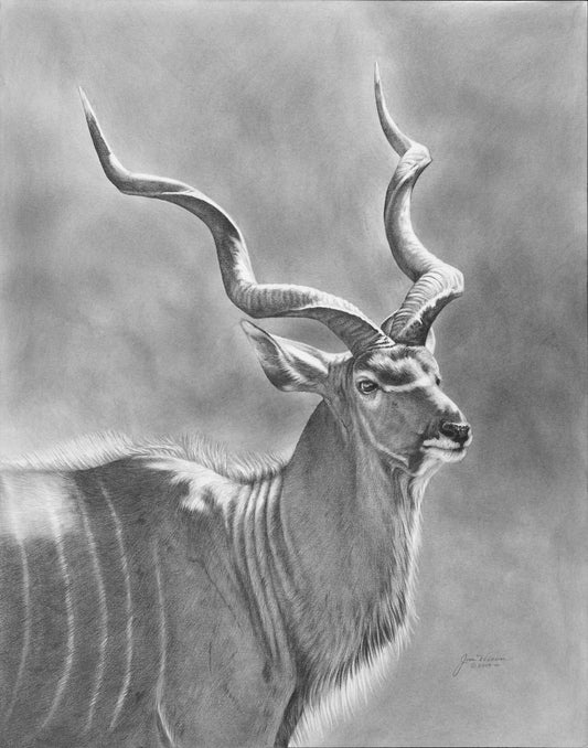 “Kudu” PRINTS