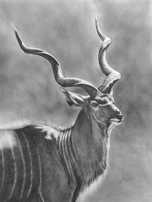 “Kudu” ORIGINAL